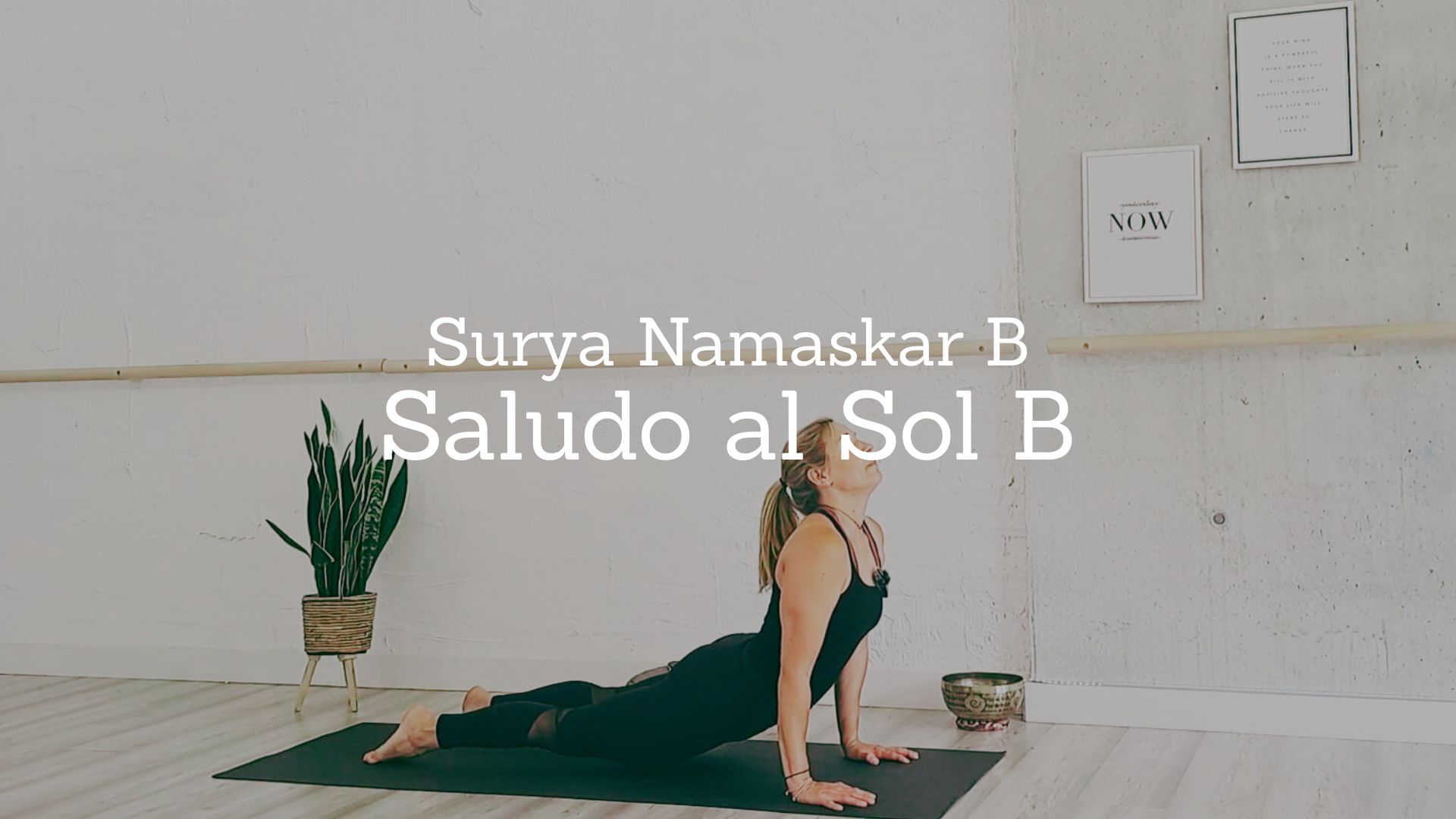Saludo al Sol B / Surya Namaskar B