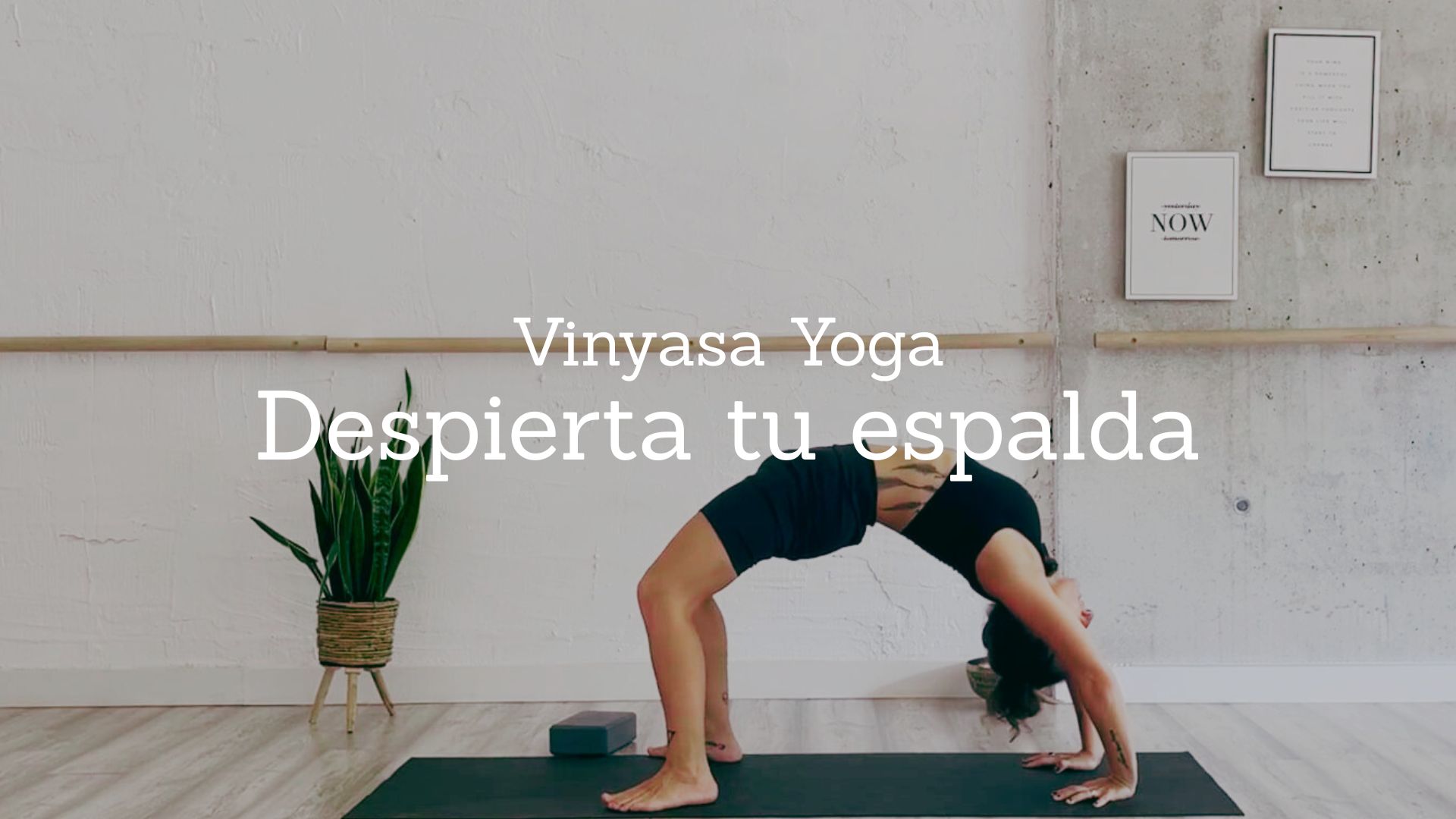 Despierta tu espalda. Vinyasa Yoga con Flor